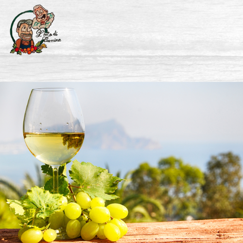 Bianco Pecorino 75 Cl