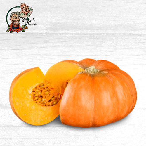 Zucca