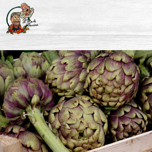 Carciofi Romaneschi Puliti