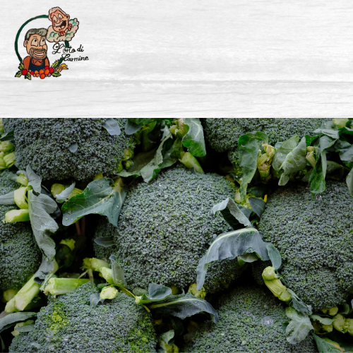 Broccolo Siciliano