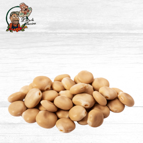 Lupini-Fusaglie