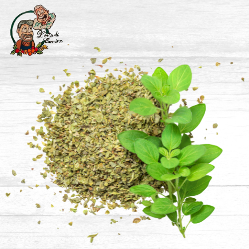 Origano Tritato