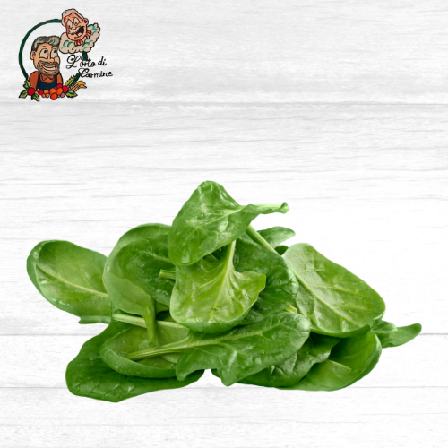 Spinaci Puliti