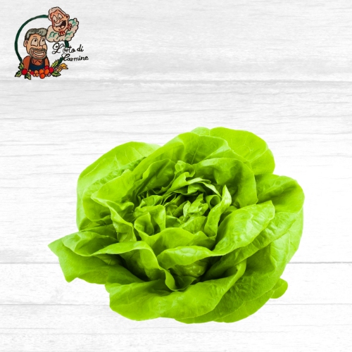 Lattuga Tagliata
