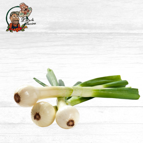 Cipolline Fresche