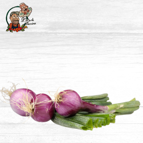 Cipolline fresche di Tropea