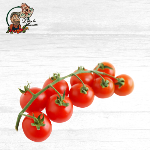 Pomodoro Ciliegino