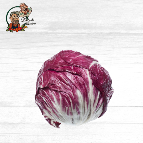 Radicchio Tondo
