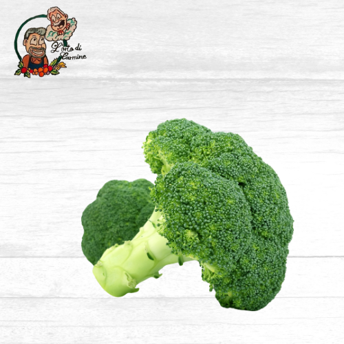 Broccolo