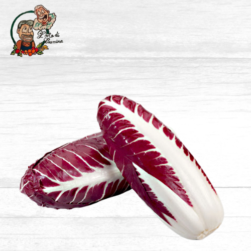 Radicchio Lungo