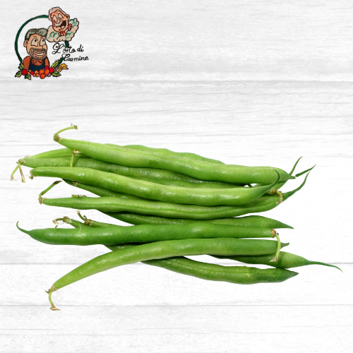 Fava