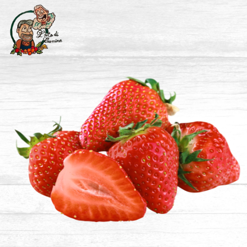Fragole della Basilicata