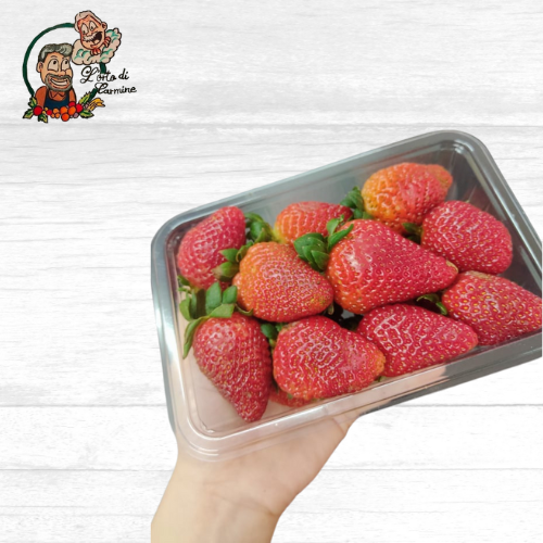 Fragole Favetta Terracina