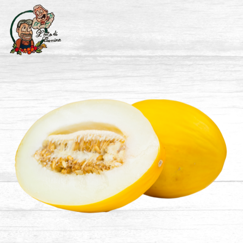 Melone Giallo