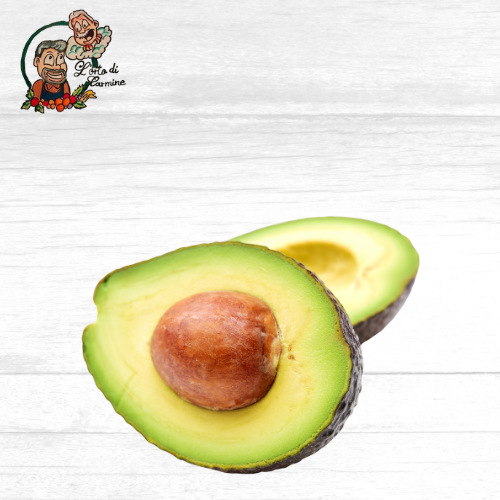 Avocado 1 Pz