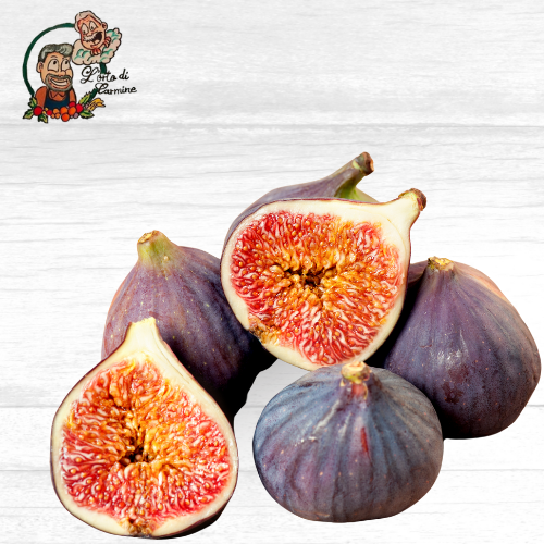 Fichi Freschi