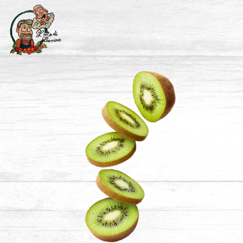 Kiwi a Dischi