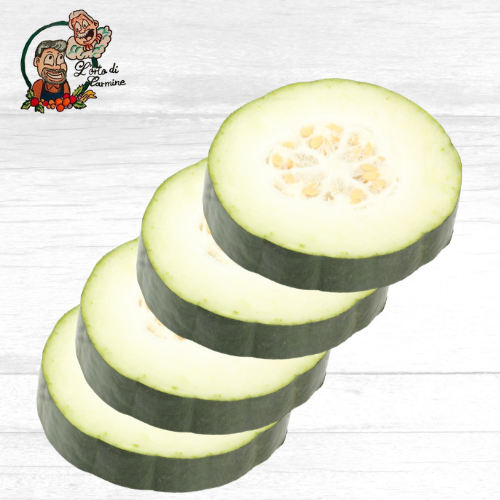 Melone invernale a Dischi